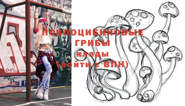 индика Абинск
